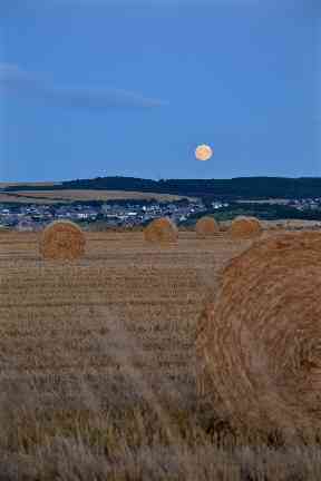 A 'corn moon' is spotted on a clear September night.