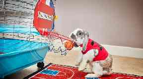Bini shows off her slam dunking skills.
