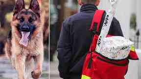 Royal Mail: Postman is still off work after attack.