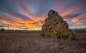Fun emoji hay bale creation spotted near Monikie all in aid of Children in Need.