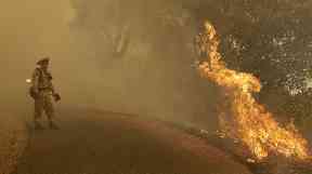 A firefighter monitors flames from a blackburn operation in Glen Ellen.