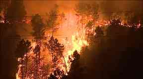 fire in portugal