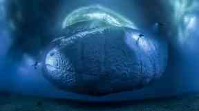 The ice monster by Laurent Ballesta, winner of the Earth's Environments.