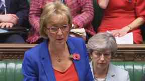 Andrea Leadsom proposed a number of reforms to the current system.