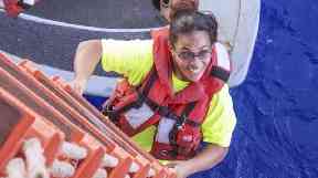 Tasha Fuiaba climbs aboard the USS Ashland after being rescued.