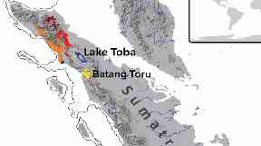 Tapanuli orangutans have been discovered in the Batang Toru forest of North Sumatra in Indonesia.