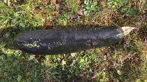The offending courgette.