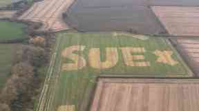 The mysterious letters in the field sparked a search for 'Sue'.