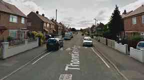 The cat was found in Thorndike Avenue in Alvaston