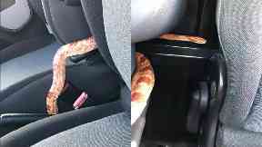 Snake: Van to be stripped out.