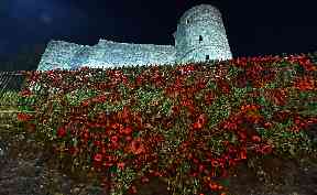 Remembrance: Thousands of poppies were handcrafted by the anonymous group.