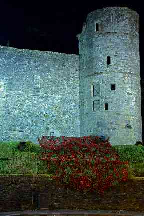 More than 5500 poppies were handcrafted over ten weeks.