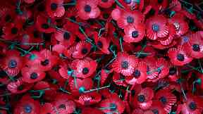 Scotland: Our poppies have four petals and no leaf.