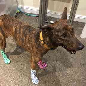 Taba is recovering well after her ordeal.