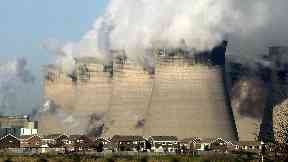 Fossil fuels: 'This is an industry that must undergo a managed decline'.