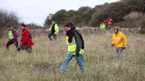 Volunteers scour a search area near to Swanage.