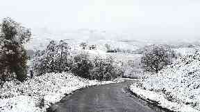 Journey through the snow.
