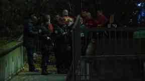Emergency services at the scene where the tiger was shot.