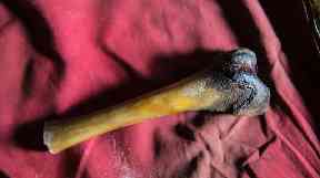 This thigh bone alleged to have come from a Yeti is actually a from a bear.