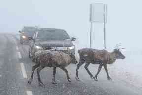 Traffic in the Highlands.