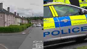Assault: Attackers fled in Ford Transit.
