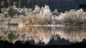 Winter Wonderland: Loch Achray in the Trossachs.
