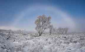 Fogbow: Scots share their favourite wintry scenes this week.