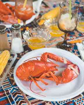 Seafood is often eaten in the United States as an appetiser.