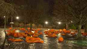 Charity: Around 8000 took part.