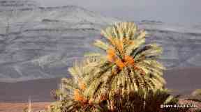 Temperatures in the Sahara in summer can easily reach 40C (104F).