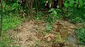 One of the reported mass graves.