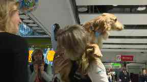 One of the soldiers is given an enthusiastic welcome home by her dog.