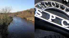 Dog: Dead animal said to have been found inside bag.