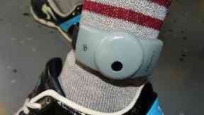 Plans: Expansion of electronic tagging.