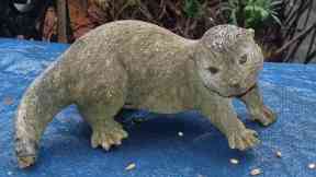 Otter: Found in cat shelter.
