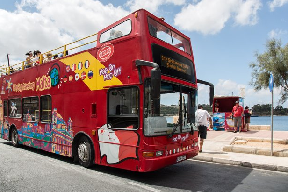 He seriously injured after sightseeing bus smashed into a tree.