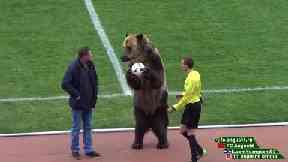 Footage showed a bear performing before a football match.