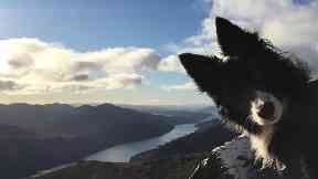 Floss the photobombing dog on snowy Ben Narnain.