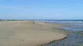 Beach: Member of the public found remains.