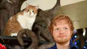 The new Madame Tussauds figure of Ed Sheeran is unveiled at Lady Dinah’s Cat Emporium in London.