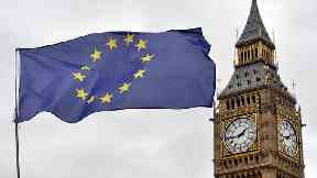 MPs voted by 324 to 298 to reject a House of Lords amendment (Victoria Jones/PA)