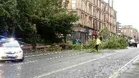 Storm Hector: Tree felled on Great Western Road in Glasgow.