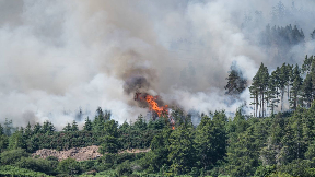Ben Bhraggie: Fire began on forestry on hillside.