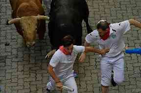 Revellers evade the bulls in Pamplona