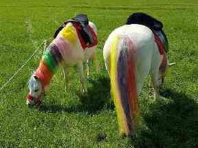 Pony painting parties are growing in popularity.