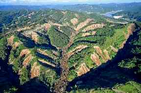 The site of a landslide in Atsuma