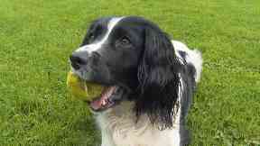 Bracken has helped Jimmy cope with his PTSD.