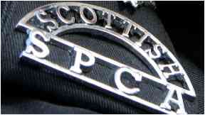 Appeal: Scottish SPCA look to confirm cause of death.