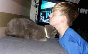 Beloved pet: Maximus happy at home.