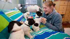 Puppies: Natasha Robins with the dogs.